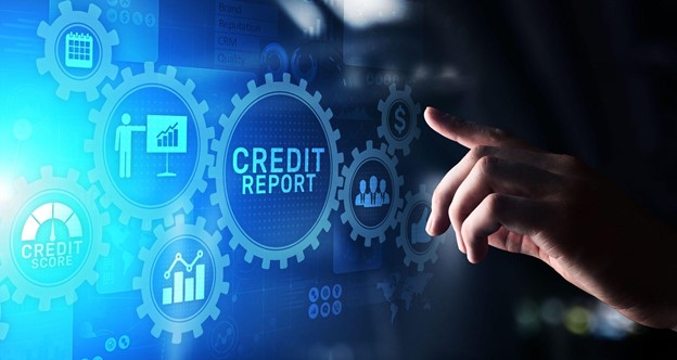 Company International Credit Checks