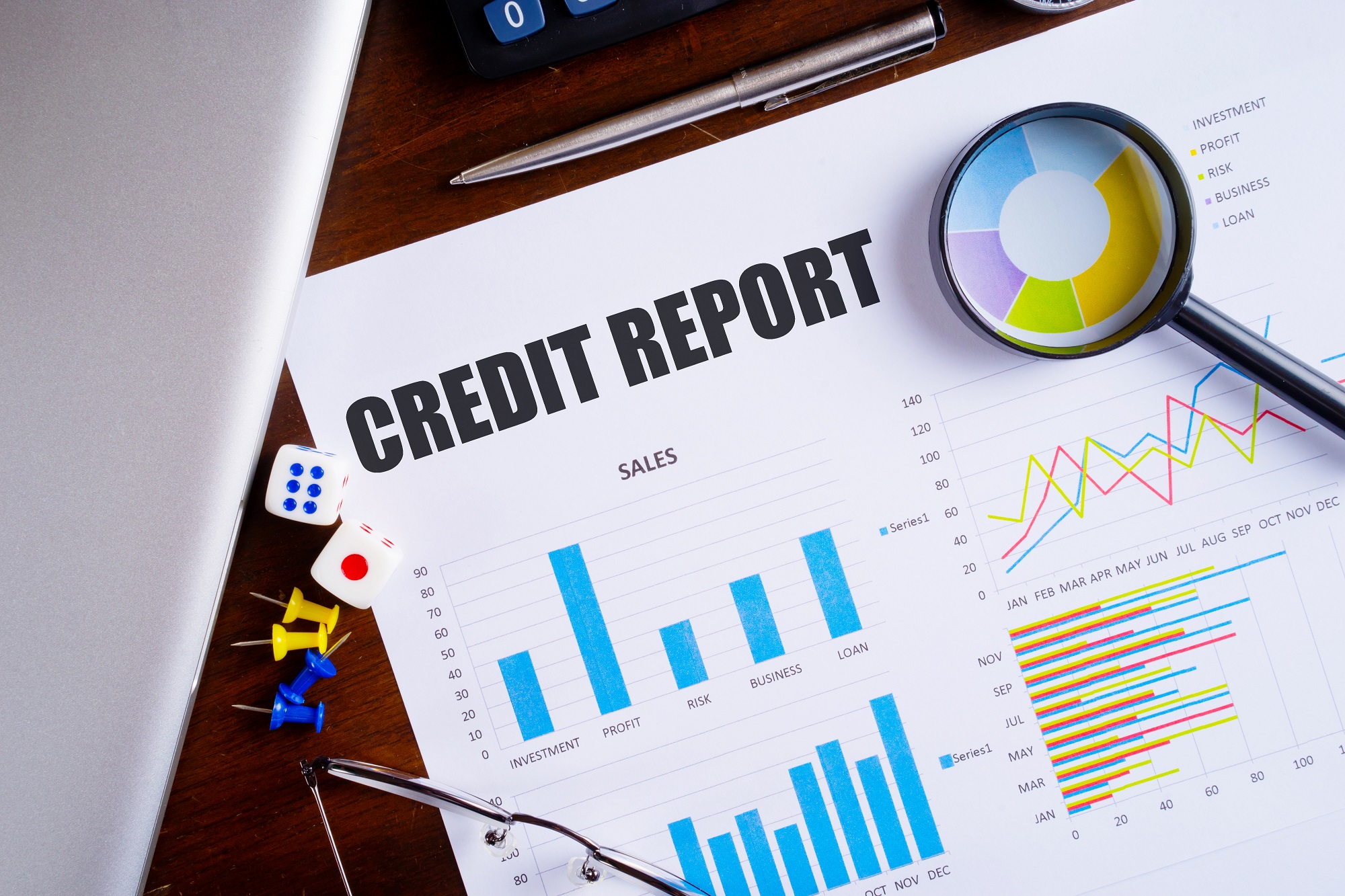 international credit report